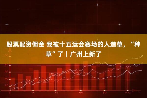 股票配资佣金 我被十五运会赛场的人造草，“种草”了｜广州上新了