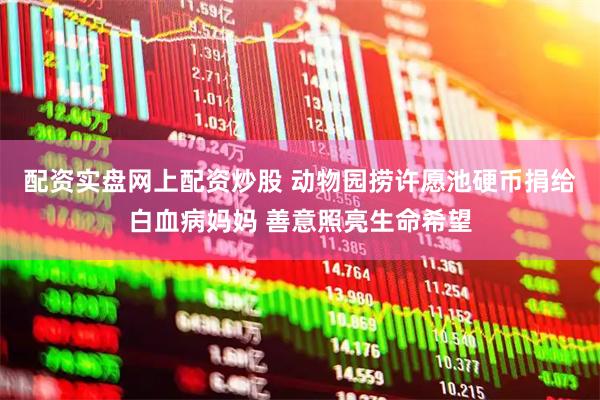 配资实盘网上配资炒股 动物园捞许愿池硬币捐给白血病妈妈 善意照亮生命希望