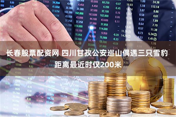 长春股票配资网 四川甘孜公安巡山偶遇三只雪豹 距离最近时仅200米